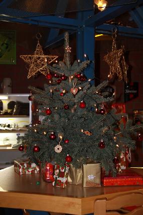  Bildname: Weihnachtsfeier_014.jpg 
 Breite: 640 Pixel 
 Höhe: 960 Pixel 
 Grösse: 163 kB 
