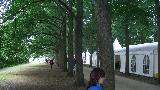  Bildname: CIMG2528.JPG