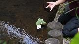  Bildname: IMG_0136.JPG