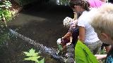  Bildname: IMG_0137.JPG