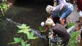  Bildname: IMG_0139.JPG