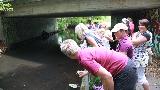  Bildname: IMG_0141.JPG